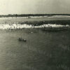 Острів «Фантазія» Кременчук 1953 рік фото №894