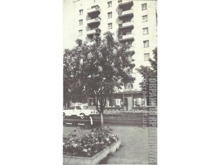 Магазин «Политкнига» Кременчуг 1981 год фото номер 1726