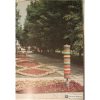 Ліхтарі в сквері «Жовтневий» Кременчук 1985 рік фото номер 685