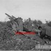 Німецька артилерійська позиція у Кременчуці фото 602