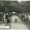 Аллеи Пионерского сквера в Кременчуге 1950-е фото номер 886