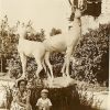 Скульптура «Олені» в сквері на Набережній Кременчук 1953 рік фото номер 893