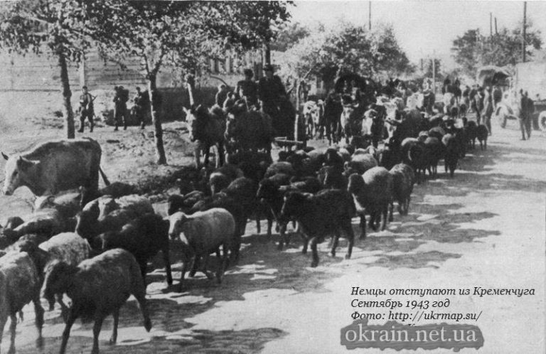 Німці відступають із Кременчука Вересень 1943 рік фото 922