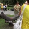Скульптура «Щука с Кременчуга» видео 968