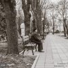 Сквер им. Олега Бабаева в Кременчуге – фото 1456
