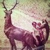 Sculpture Deer in Prydniprovsky park photo 1967