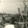 Sculpture “Deers” in the Prydniprovsky park Kremenchuk photo 1541
