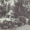 По улицам слона водили… – фото №1722