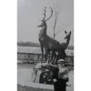 Against the background of the sculpture Deer Kremenchuk 1960s photo 2026