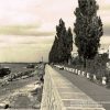 Dnieper Embankment Kremenchug 1960s photo number 2103