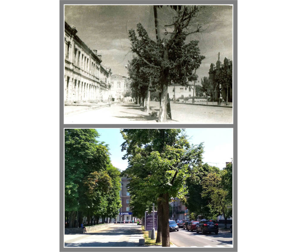 Сучасна вулиця Соборна в кінці 1940-х років фото №2636