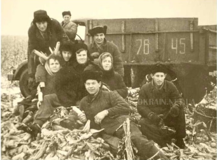 Збирання кукурудзи Кременчук 1960 рік фото №2711