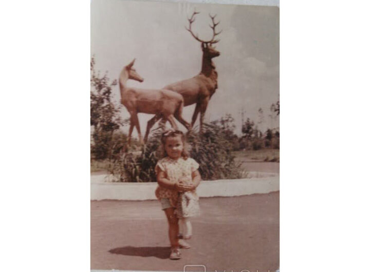 Дівчинка біля скульптури "Олені" 1964 рік фото №2818