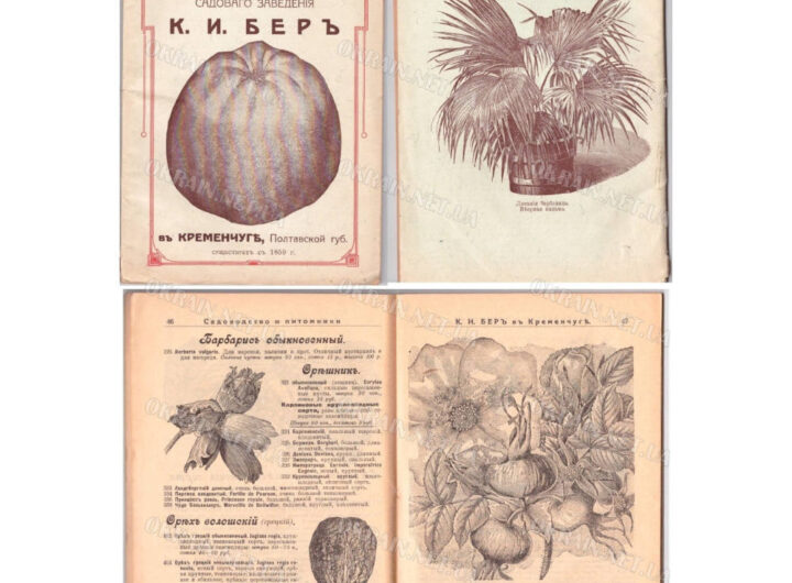 Каталог рослин садового закладу К.І.Бер 1916 рік фото №2884