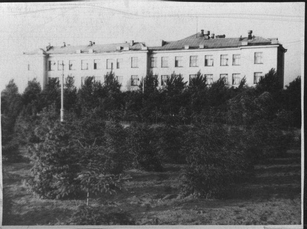 Куртина ялин біля залізничної лікарні, 1960-ті роки, фото №3361