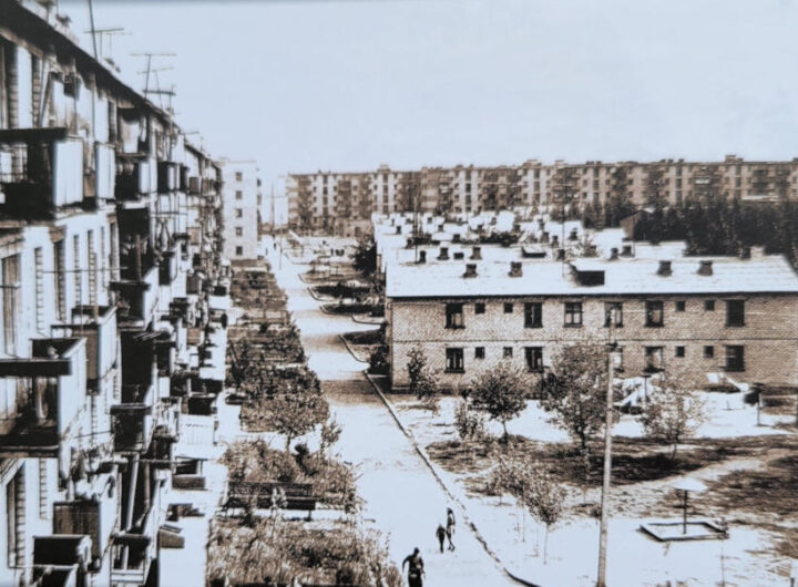 Панорама селища Молодіжний, 1960-ті роки фото №3402