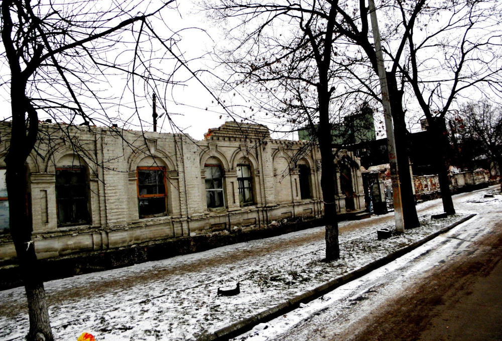 Руїни будинку садового закладу К. І. Бера, фото №3527
