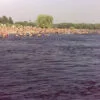 У Кременчуці стартував купальний сезон: для відпочинку підготували 10 міських пляжів