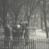 Прогулка, Кременчуг, 1982 год, видео №3785