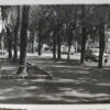 Улица Маяковского в Кременчуге, фото №3790