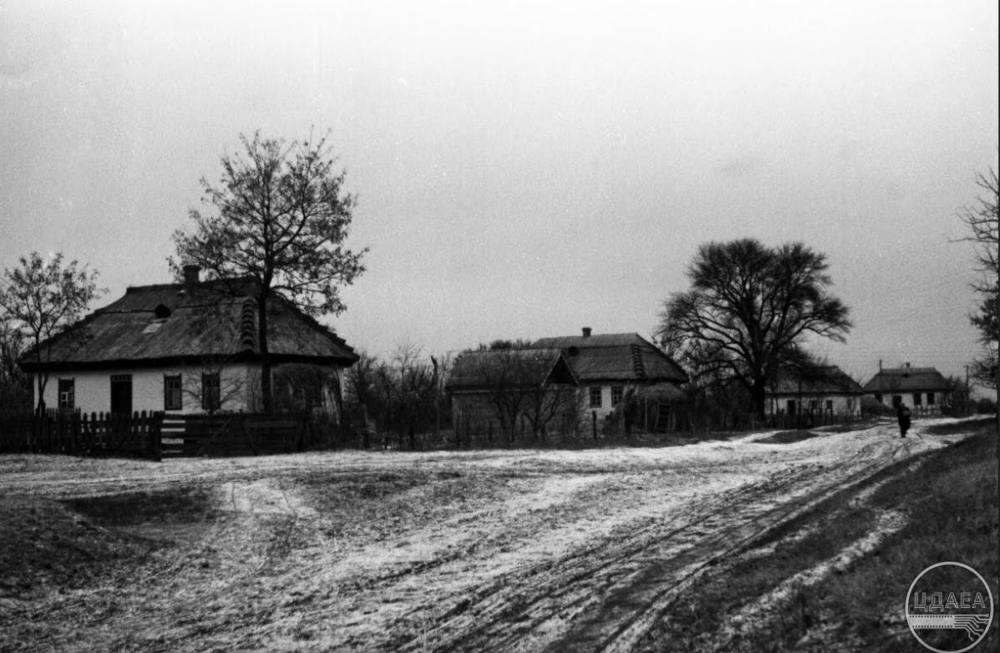 Вулиця в селі Піщане, 1949 рік, фото №3874