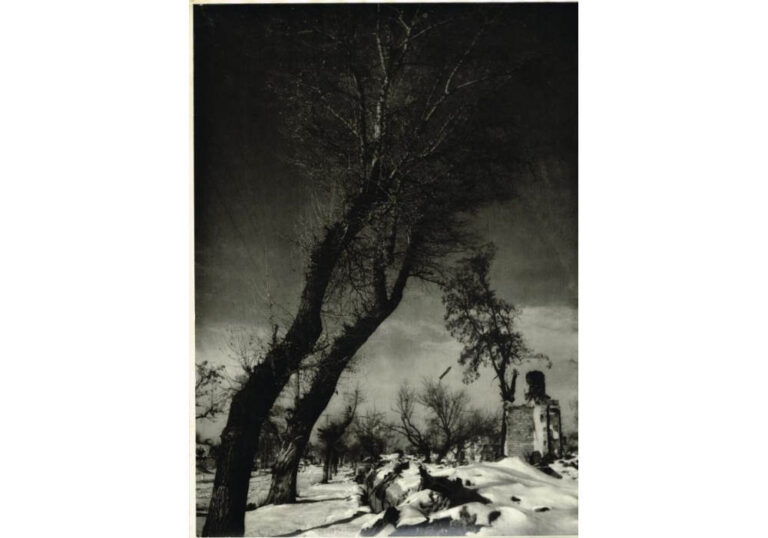 Вулиця зруйнованого Кременчука, 1943 рік, фото №3887