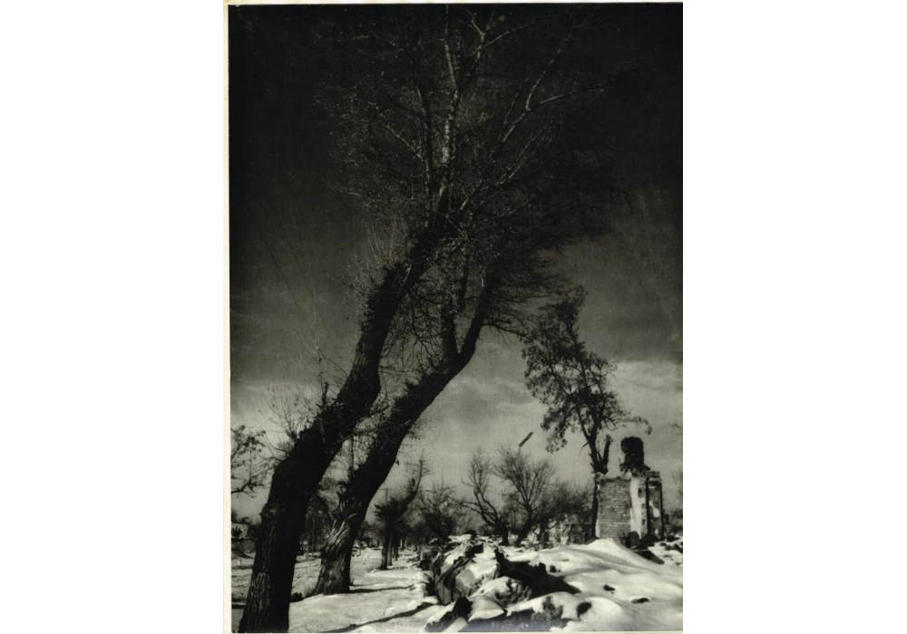 Вулиця зруйнованого Кременчука, 1943 рік, фото №3887