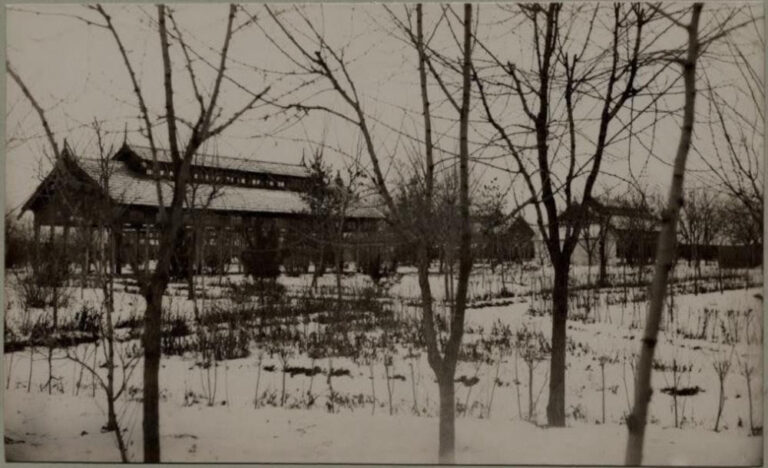 Літній барак Богоугодного закладу, 1901 рік, фото №3966