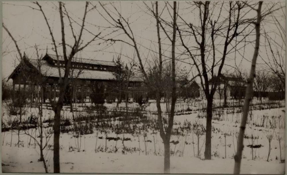 Літній барак Богоугодного закладу, 1901 рік, фото №3966