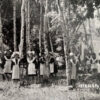 Graduates of School No. 9 in Prydniprovsky Park, 1980s, photo No. 4010