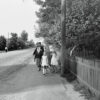 Kolhospna Street in Kremenchuk, 1964-1965, photo #4069