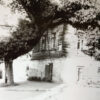 Old house near the Yuvileyny Park in Kremenchuk, photo #4112