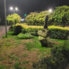 “Sonyachnyi” (Sunny) Public Garden