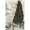Embankment in Kremenchug 1958 photo number 450