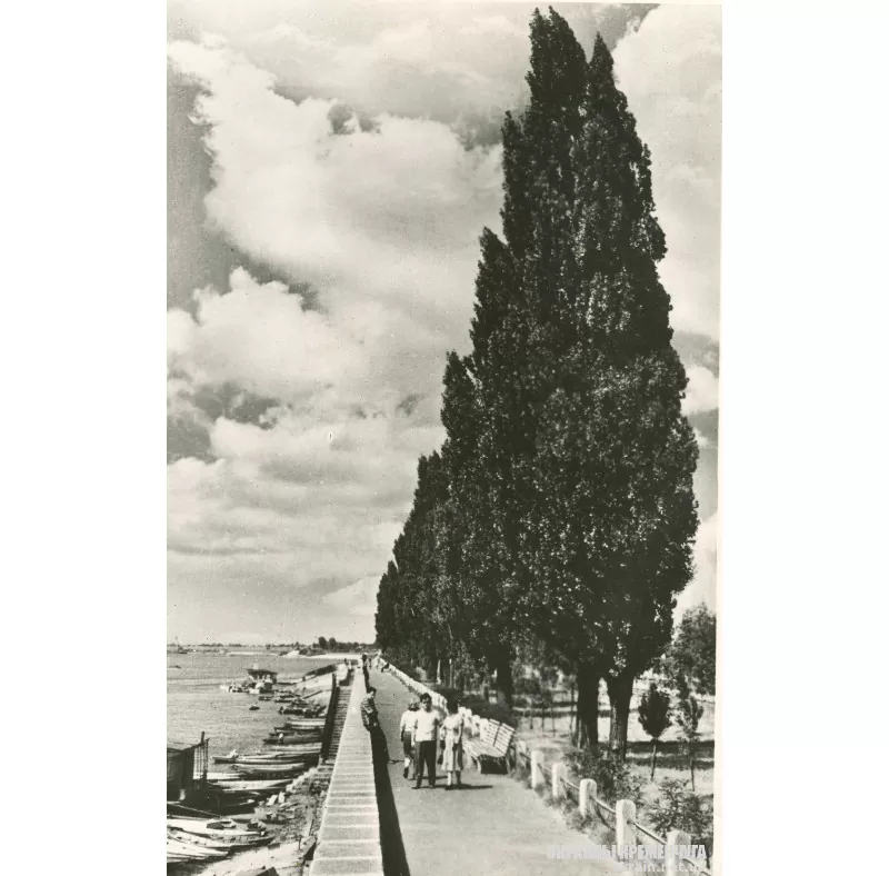 Набережная Кременчуг 1958 год - фото № 450