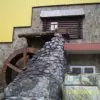 Центральний ринок Кременчук фото номар 31