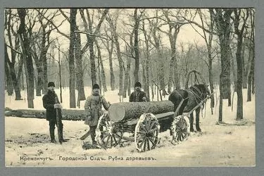 Рубка деревьев Городского сада