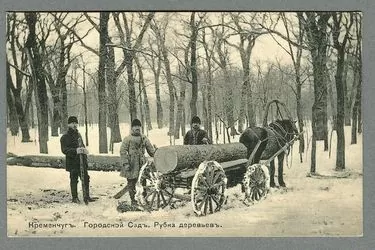 Рубка деревьев Городского сада