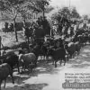 Німці відступають із Кременчука Вересень 1943 рік фото 922