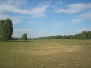 Неперспективне село Кривуші