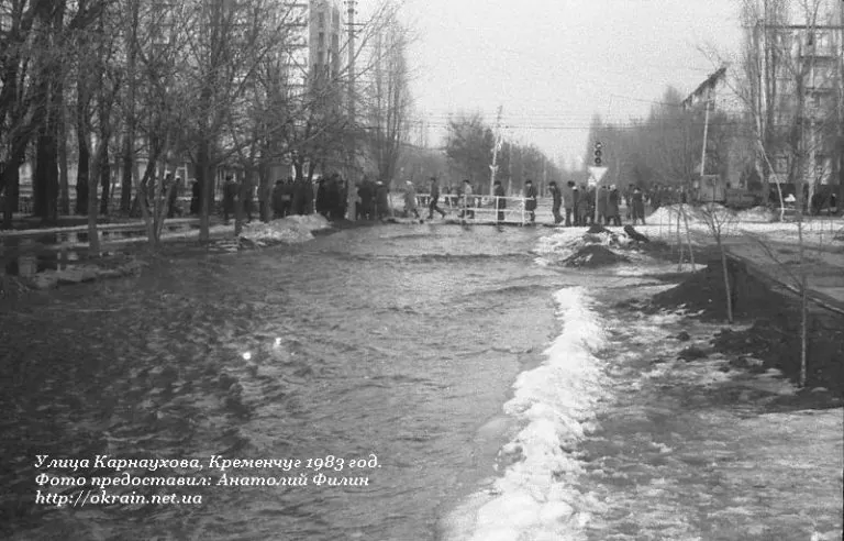 Улица Карнаухова в Кременчуге. 1983 год. - фото 1102