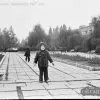Pushkin Boulevard Kremenchug 1977 photo 1402