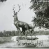 Скульптурна композиція «Олені» фото 1688