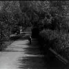 Literary lane 1977 photo 1936