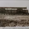 Міські бойні в Кременчуці 1901 рік фото №2207